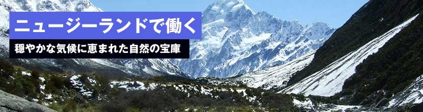 海外インターンシップ（NZ）