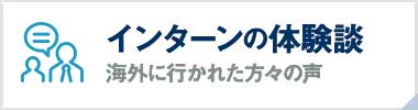 海外インターンシップ 体験談